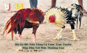 Đá Gà 88