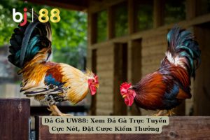 Đá Gà UW88