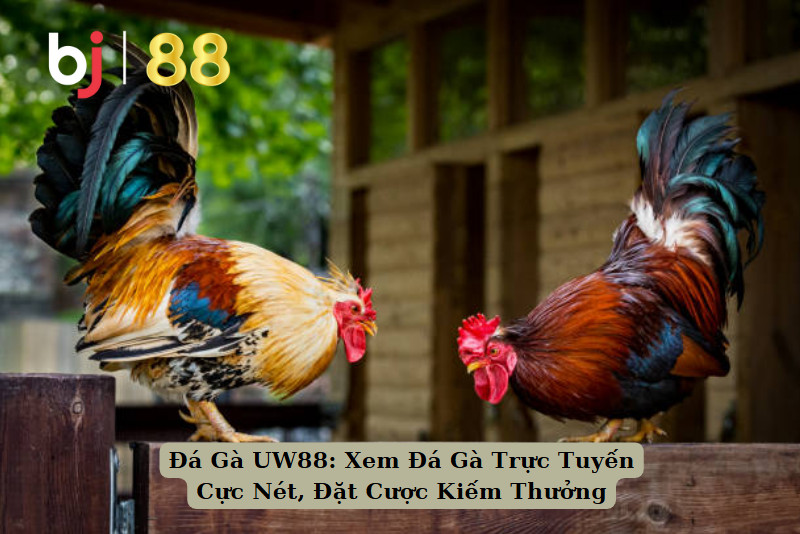 Đá Gà UW88