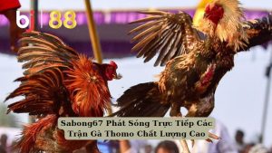 Sabong67