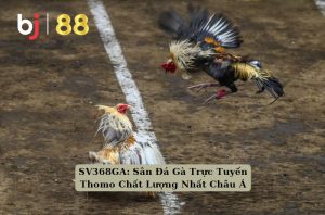 SV368GA