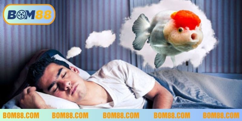 Giấc mơ thấy con cá thường liên quan đến nhiều vấn đề