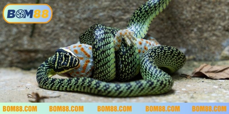 Tổng hợp những con số liên quan trong giấc mơ để chơi lô đề trúng lớn